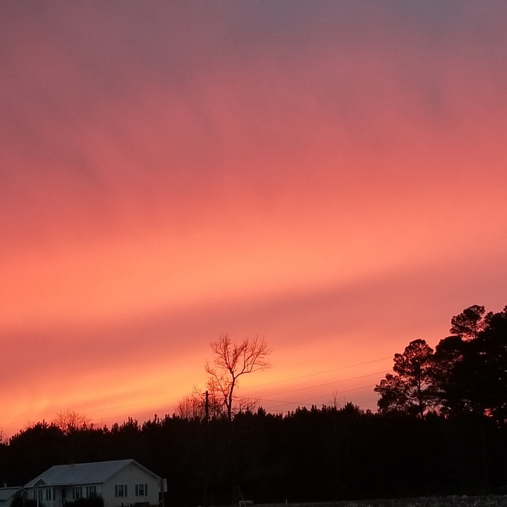 Meet your Posher, Melody